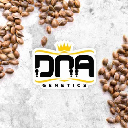 DNA Mix Pack (F & R)