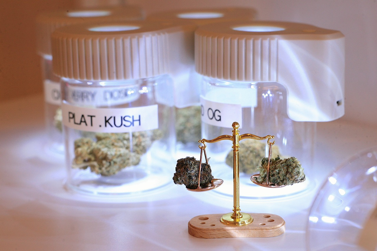 Sustaining Progress in Cannabis Legalization