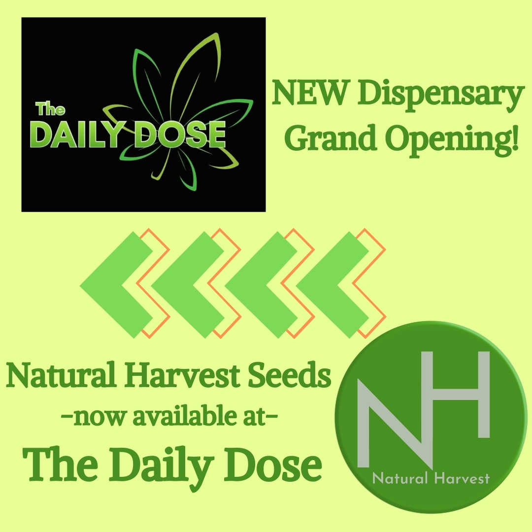 Review of The Daily Dose Grand Opening and Zen Arcade Saturday Sale